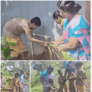 mms-vetiver-grass-cultivation-program-img-01