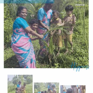 mms-vetiver-grass-cultivation-program-img-03
