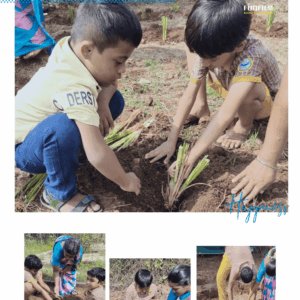 mms-vetiver-grass-cultivation-program-img-05