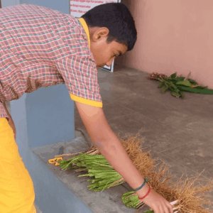 mms-vetiver-grass-cultivation-program-img-10